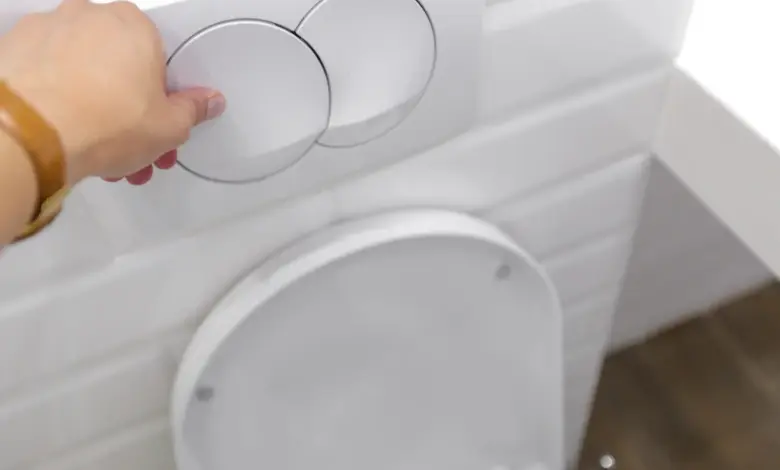 Ruka tlačí na splachovací tlačítko u bílého WC s dvojitým plněním.