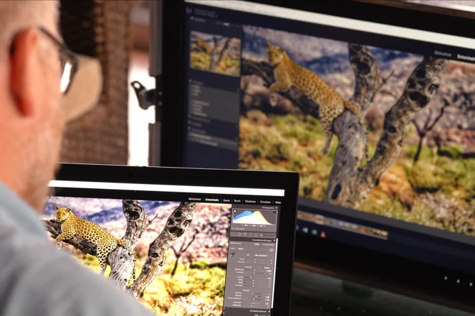 Muž upravuje fotku leoparda na dvou monitorech pro nejlepší obraz.