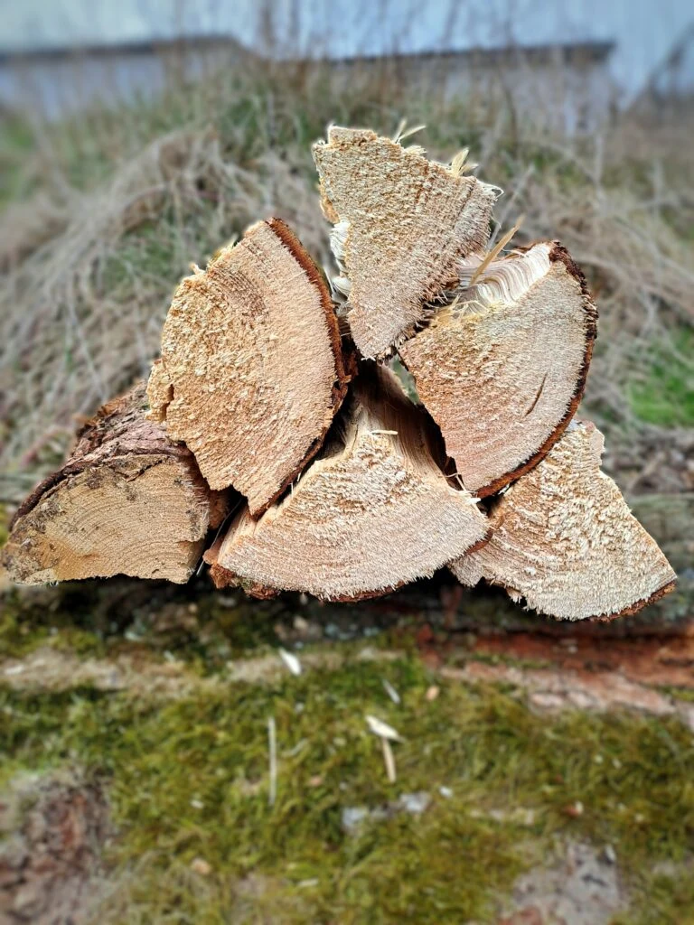Náhodně rozdělené dřevo pro topení, bez identifikace druhu stromu.