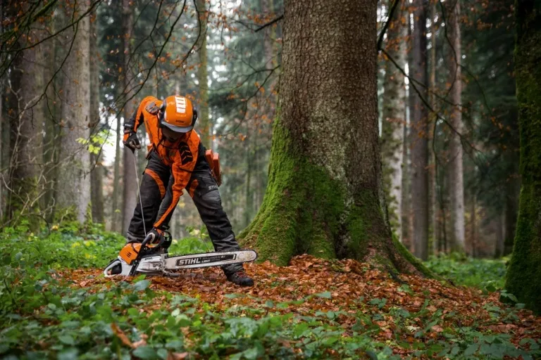 Muž s motorovou pilou v lese u stromu.