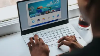 Osoba pracuje na notebooku s Windows 11 u okna.