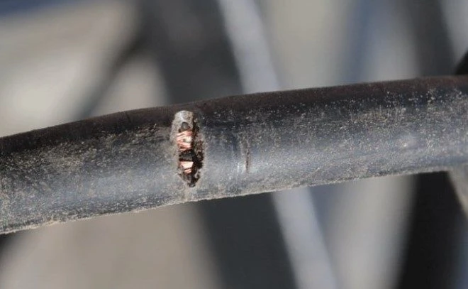 Poškozený kabel s odhalenými měděnými vodiči uvnitř.