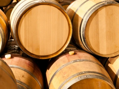 Wine barrels in cellar
