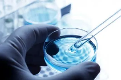 Ruka drží Petrijeho misku s kapalinou při laboratorním testování vody.