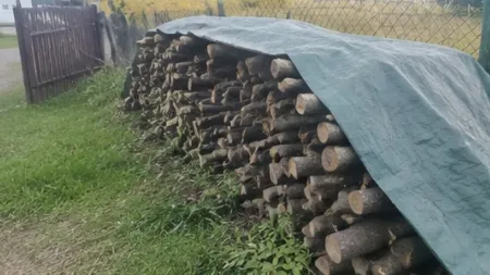 Hromada dřeva pod plachtou venku u plotu.