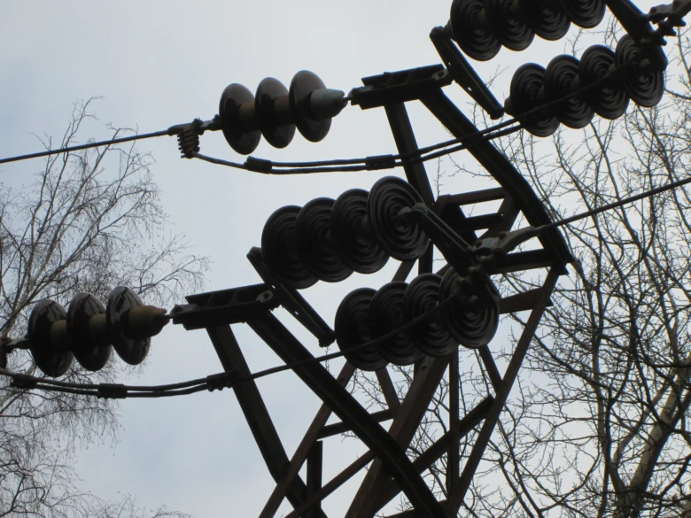 Elektrické izolátory na vysokonapěťovém vedení mezi stromy.